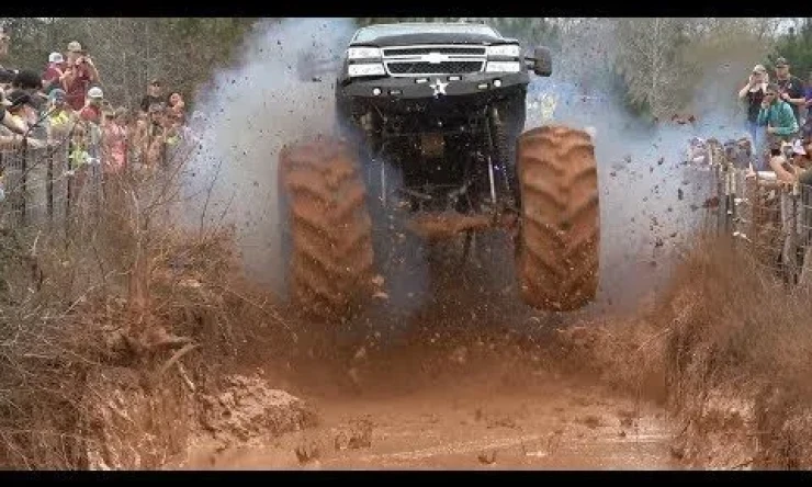 Bataklık yarışları