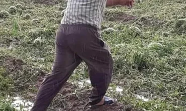 IĞDIR'DA TARLALARI DOLU VURDU, ÇİFTÇİ MAĞDUR OLDU