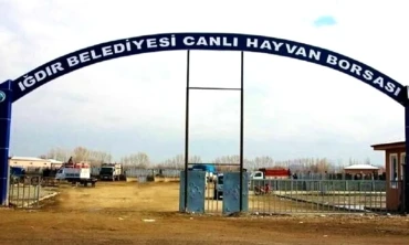 'Canlı Hayvan Pazarı' haftanın beş günü açık olacak