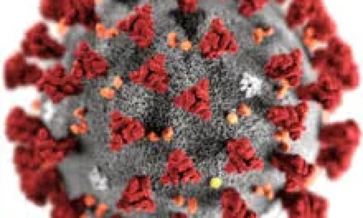 Mart ayında Normalleşme adımları olacak!