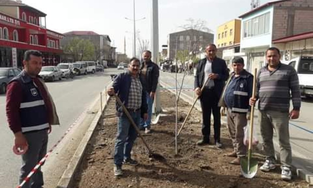 Başkan Mustafa Güzelkaya'nın “Hedefi daha yeşil bir Aralık ilçesi”