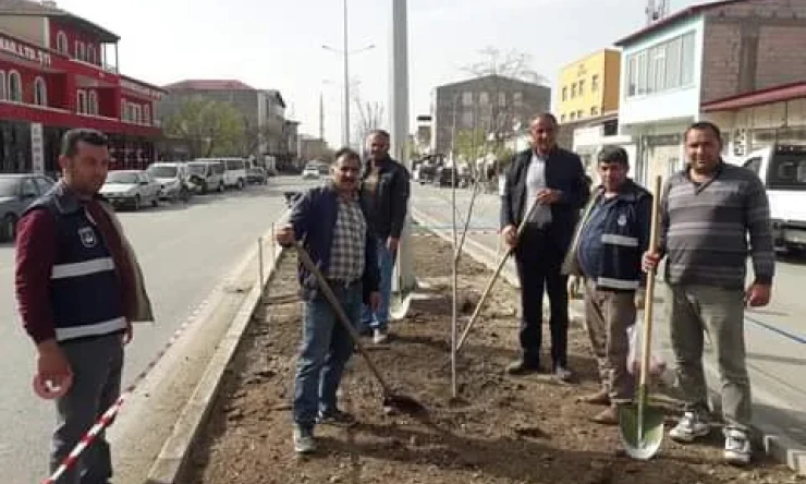 Başkan Mustafa Güzelkaya'nın “Hedefi daha yeşil bir Aralık ilçesi”