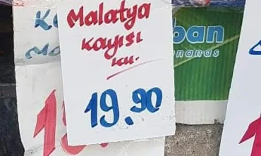 IĞDIR KAYISISI 25 Tl.