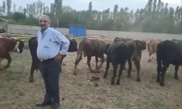 Kurbanlık satışında 120 bin liralık dolandırıcılık iddiası