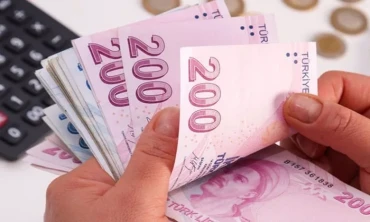 T.C. Kimliklerinizle Hesaplarınızı Kontrol Edin!