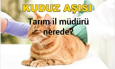 Bu İş ığdır tarım il müdürlüğüne düşer!