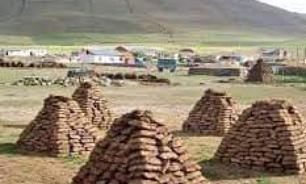 Doğu köylerinden tezek yakma geleneği devam ediyor