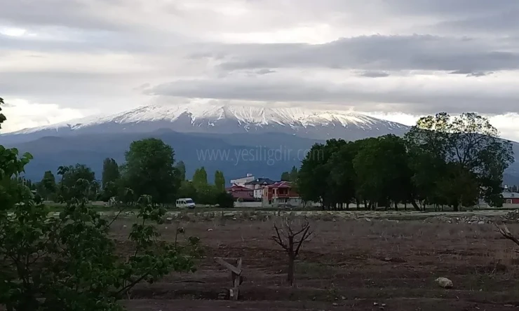 Dolandırıcıların yeni yöntemlerinden uzak durun ve bu tuzağa düşmeyin...