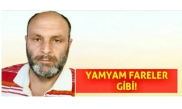 Iğdır'da iki millet, iki hikaye! Irkçı millet!
