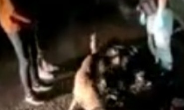İran'dan Iğdır'a ayakkabısıyla uyuşturucu getiren zanlı tutuklandı