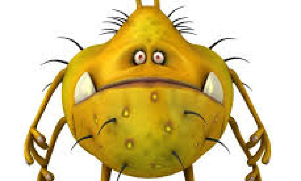 IĞDIR'DA MİKROBİT BİZİMLE