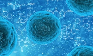 İngiltere'de Hızla Yayılan Yeni Virüs: Kovid-19'un Gelişmiş Bir Varyantı mı?