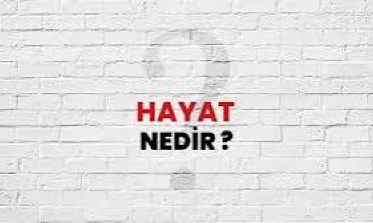 Evladına İyi Bakıp Büyüyen Baba ve Sorumsuz Evlatlar" Hayırsız Evlat Acı Dramları