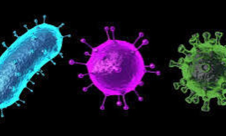 Türkiye’de Hastanelerde Yoğunluk Artıyor: Çocuk Hastaneleri ve Acil Servislerde Alarm