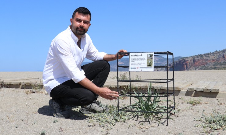 Gazipaşa Belediyesi’nden Doğaya Örnek Dokunuş: Kum Zambakları Koruma Altında