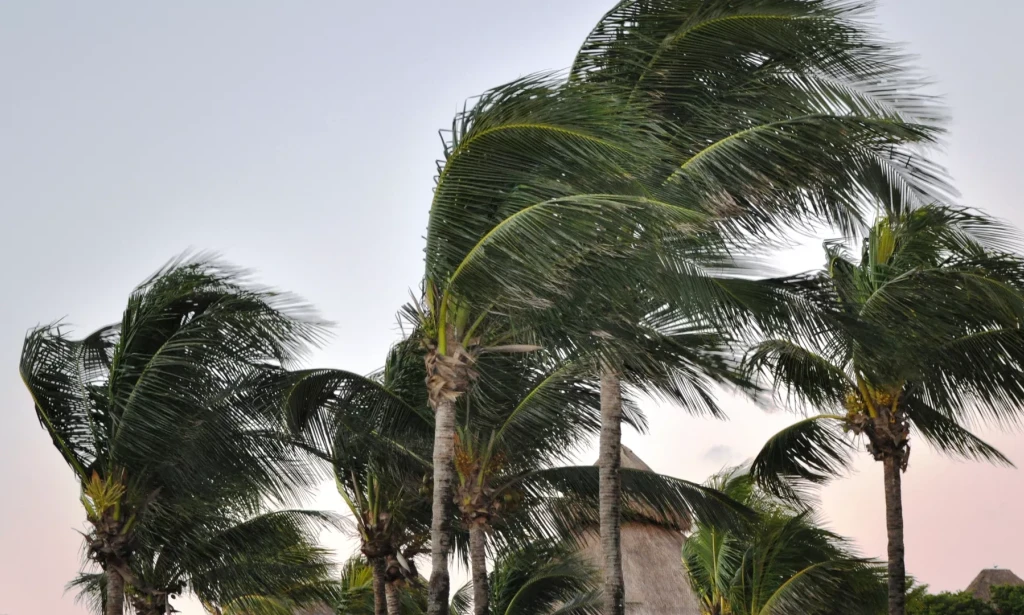 Meteoroloji'den 17 Ağustos Pazar Uyarısı: Kavurucu Sıcaklar ve Fırtına Etkisinde Rüzgar Geliyor! İşte İl İl Hava Durumu