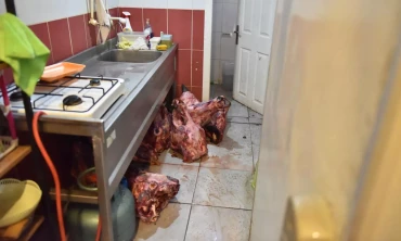 Antalya'da Gıda Güvenliği Alarmı: Bir Vatandaşın Hamam Böcekli Yumurta İhbarı, Son Kullanma Tarihi Geçmiş Et Skandalını Ortaya Çıkardı