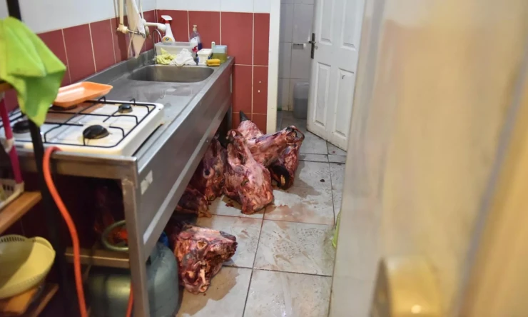 Antalya'da Gıda Güvenliği Alarmı: Bir Vatandaşın Hamam Böcekli Yumurta İhbarı, Son Kullanma Tarihi Geçmiş Et Skandalını Ortaya Çıkardı